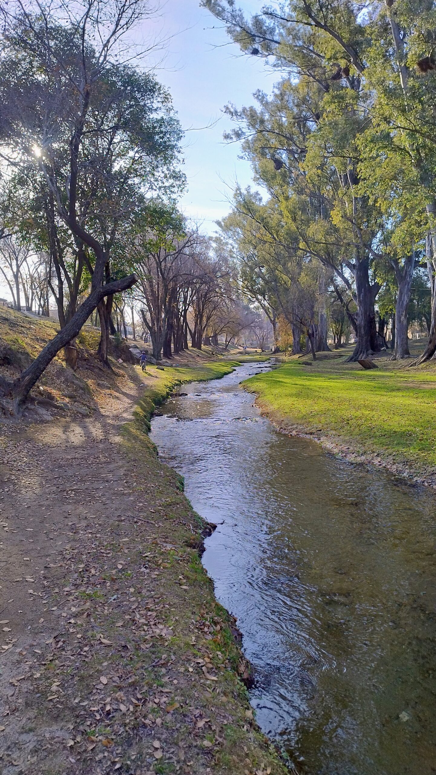 img 20250705 163311249 hdr ae